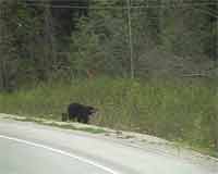 ...ein Klick zeigt mehr...