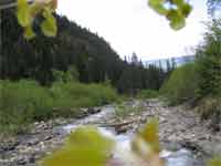 ...ein Klick zeigt mehr...