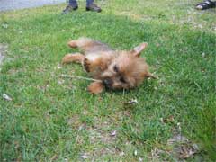 ...ein Klick zeigt mehr...